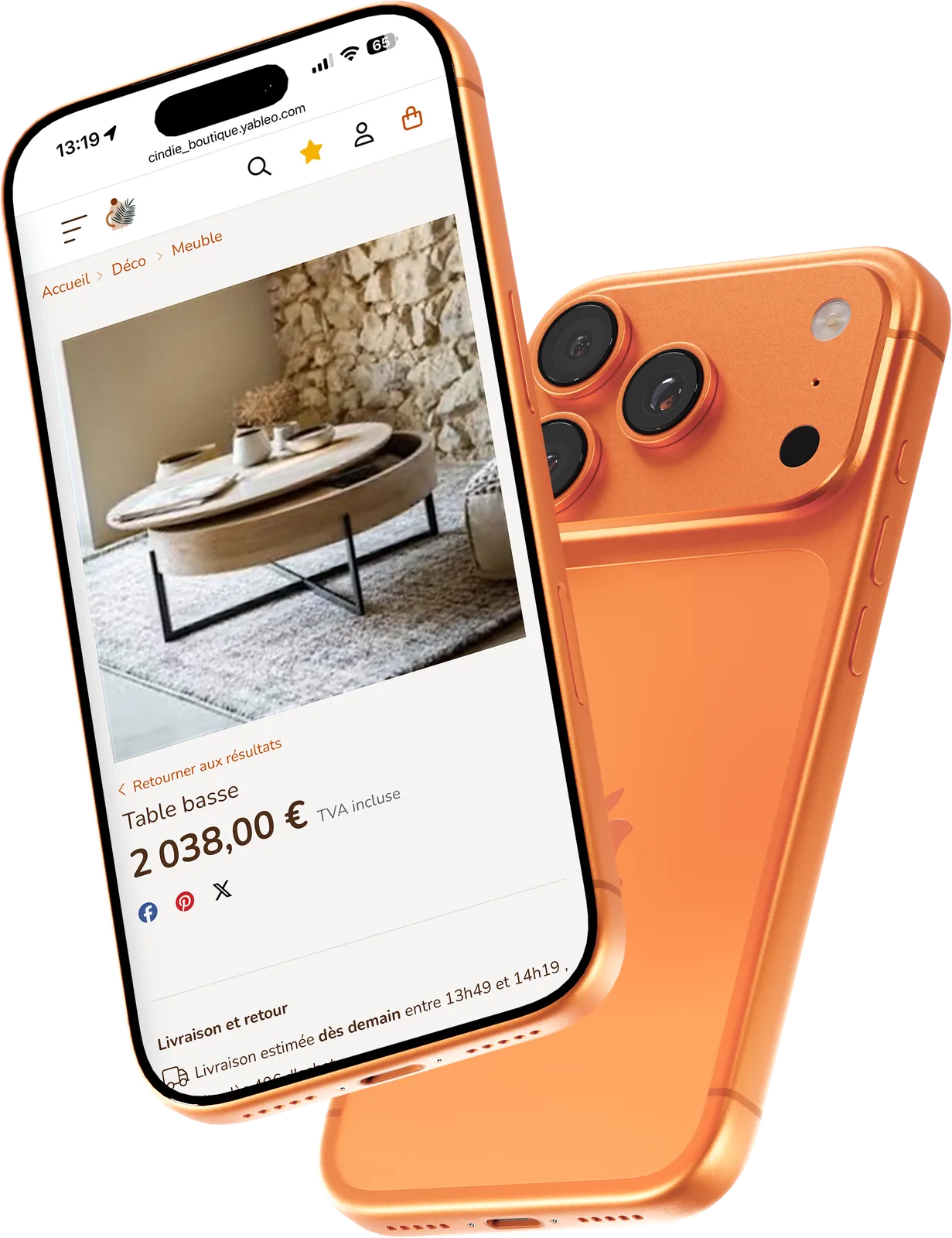 Boutique en ligne RetailPOS sur mobile